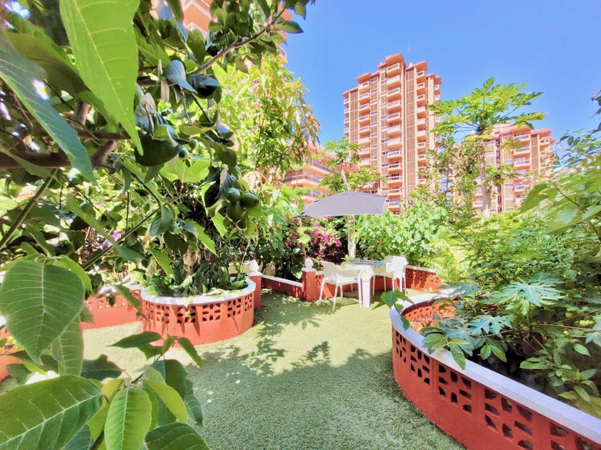 Apartmán Magnolia House Puerto de la Cruz  Exteriér fotografie